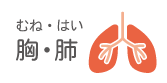胸・肺