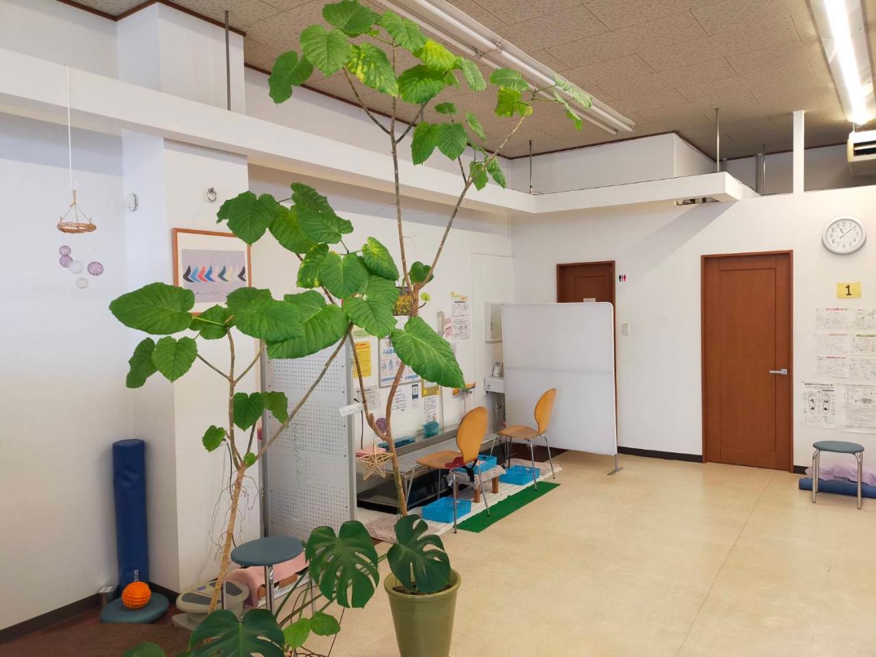 ヒカリふじ接骨院3枚目