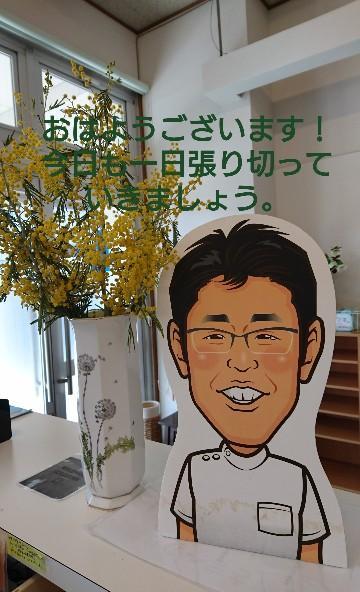 保険適用施術コース