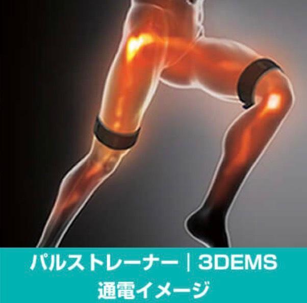 3D EMSトレーニング（下半身）